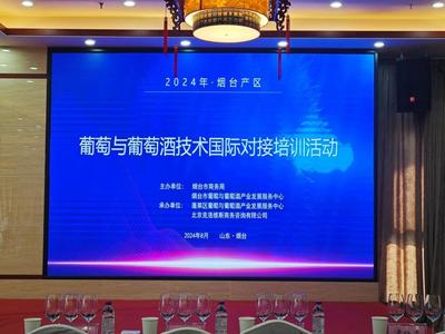 煙臺科技學(xué)院組織教師參與煙臺產(chǎn)區(qū)葡萄與葡萄酒技術(shù)國際對接培訓(xùn)活動，提升教育服務(wù)能力