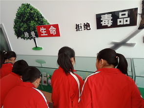 擰緊安全弦，筑牢防護網(wǎng)——煙臺龍口學(xué)校開展新時代文明實踐活動